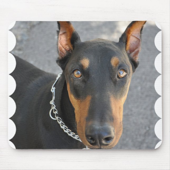 Dobermannpinscher-Mausunterlage Mousepad (Vorne)
