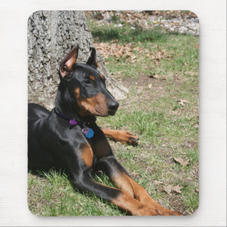 DobermannPinscher Mousepad