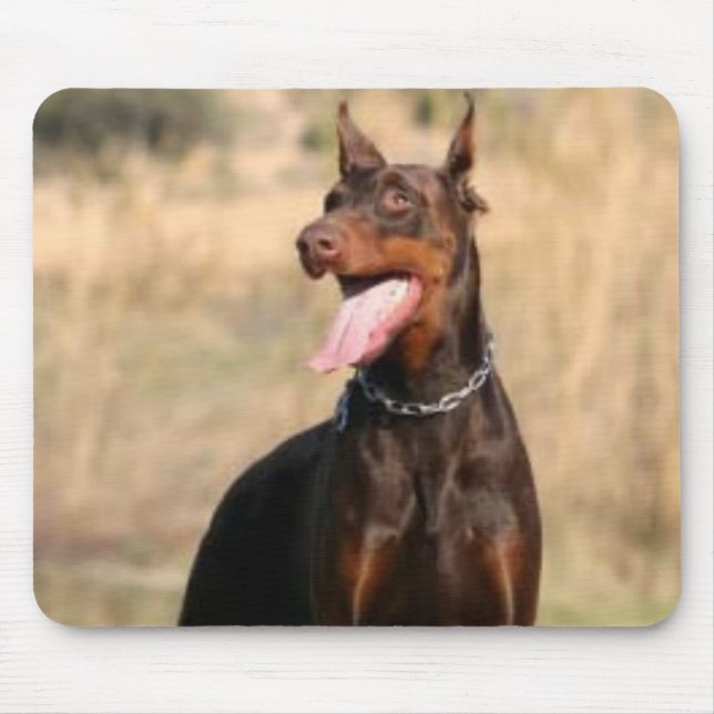 DobermannPinscher Mousepad (Vorne)