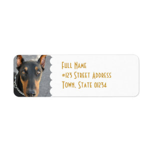 Dobermannpinscher-Rücksendeadresse-Aufkleber
