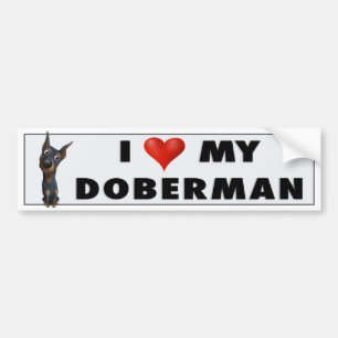 Dobermannpinscher-(Schwarzes und TAN) Autoaufkleber