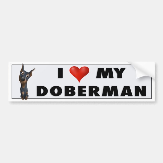 Dobermannpinscher-(Schwarzes und TAN) Autoaufkleber (Vorne)