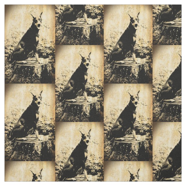 Dobermannpinscher-Vintages altes Foto Stoff (Muster)