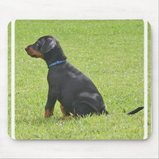 Dobermannpinscher-Welpen-Mausunterlage Mousepad