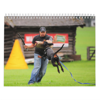 Dobermannschutzkalender Kalender