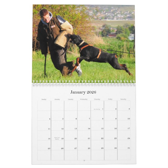 Dobermannschutzkalender Kalender (Jan 2026)
