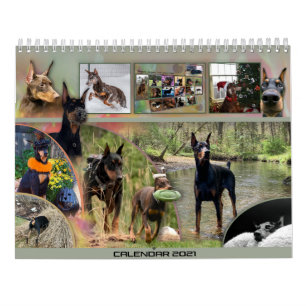 Dobermantalk-Kalender 2021 Kalender