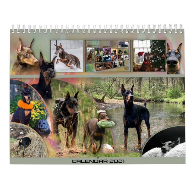 Dobermantalk-Kalender 2021 Kalender (Rückseite)
