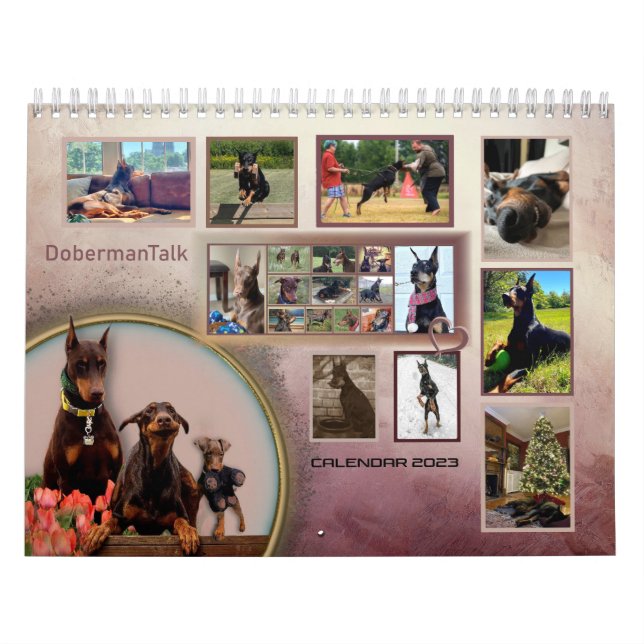 Dobermantalk-Kalender 2023 Kalender (Titelbild)