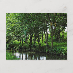 Dock Feeder Canal, Bute Park, Cardiff, Wales. Postkarte