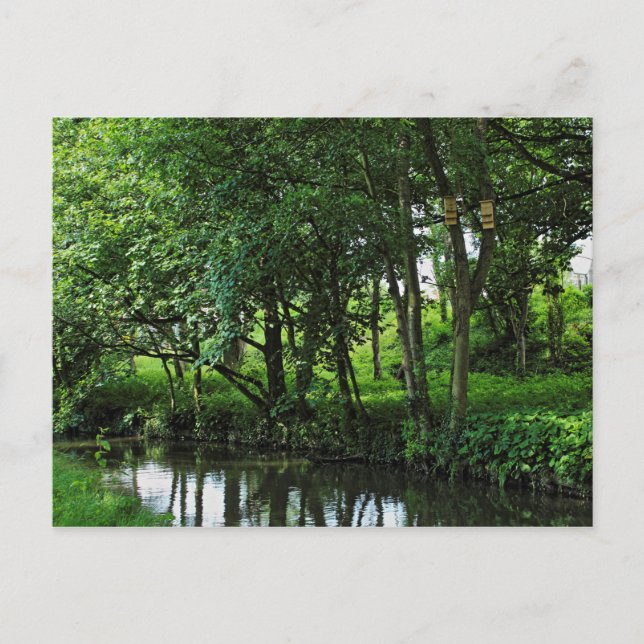 Dock Feeder Canal, Bute Park, Cardiff, Wales. Postkarte (Vorderseite)