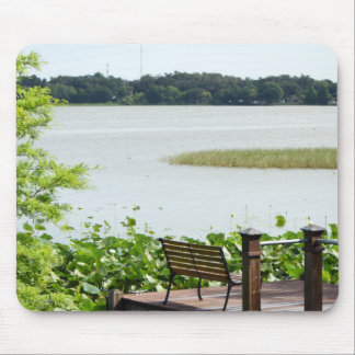 Dock on Lake Hollingsworth Mousepad