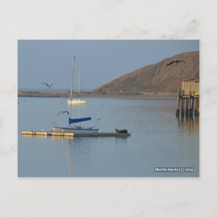 Dock-Siegel Wecke   Blue Beach Song™ Postkarte