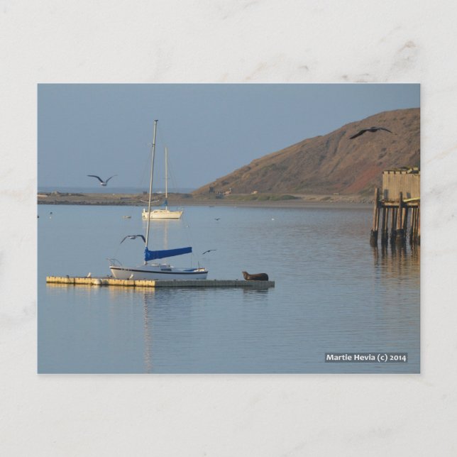 Dock-Siegel Wecke | Blue Beach Song™ Postkarte (Vorderseite)