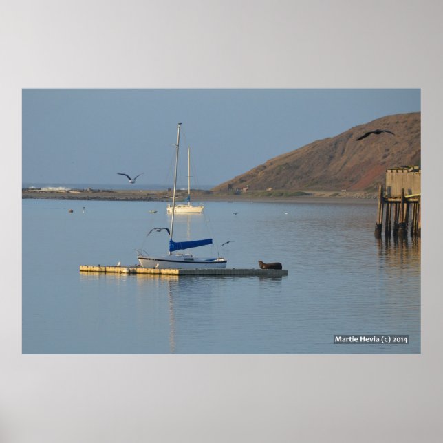 Dock-Siegel Wecke Poster (Vorne)