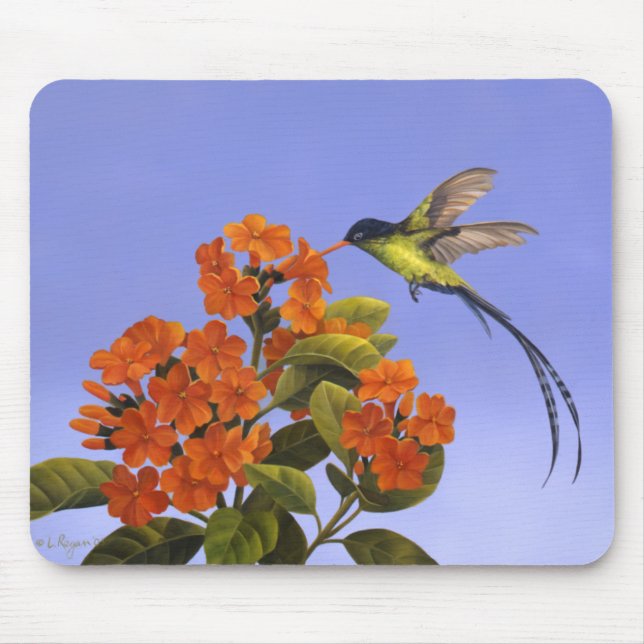 Doctorbird - nationaler Vogel von Jamaika Mousepad (Vorne)