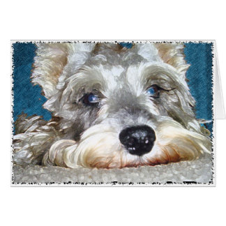 DOD: Mini German Schnauzer so Niedlich