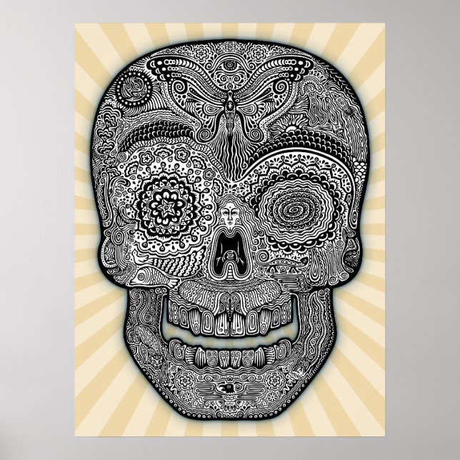 DoD Sk511-bw Poster (Vorne)