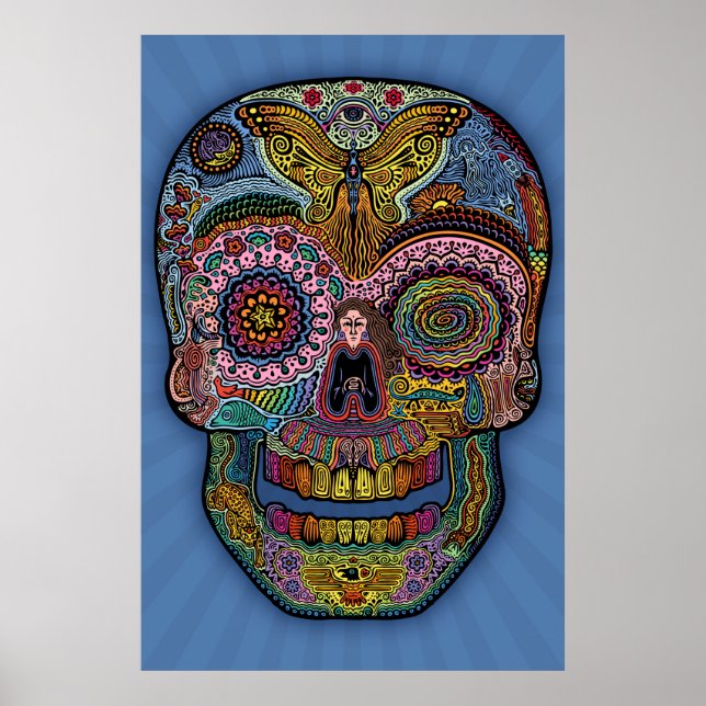 Dod Sk511 - Farbe Poster (Vorne)