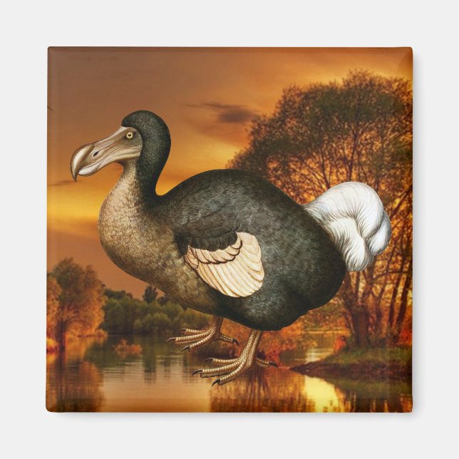 Dodo Magnet (Vorne)