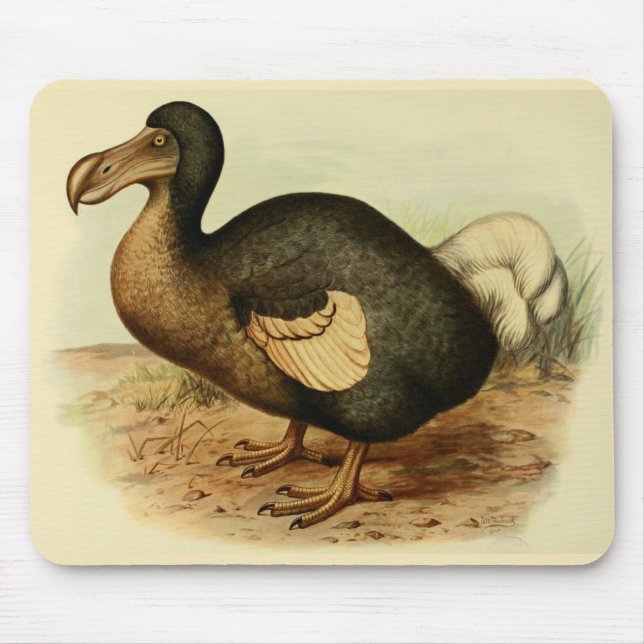 Dodo Mousepad (Vorne)