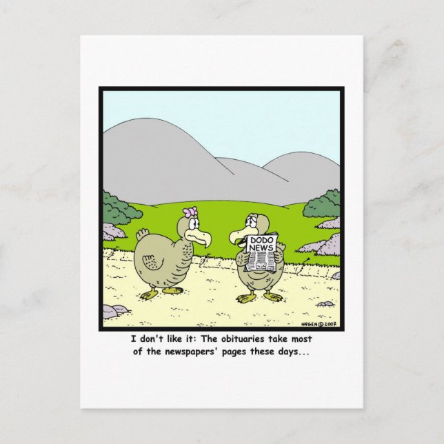 Dodo News: Dodo Cartoon Postkarte (Vorderseite)
