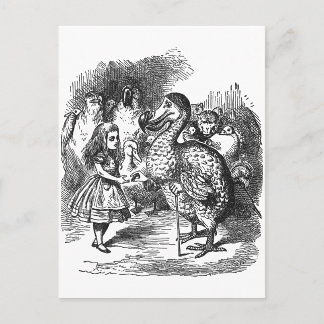 Dodo Postkarte (Vorderseite)