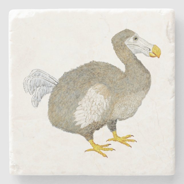 Dodovogel-Untersetzer Steinuntersetzer (Vorderseite)