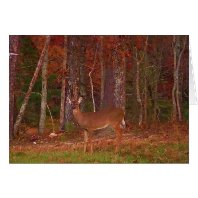 Doe a Deer im Arrowhad-See (Vorderseite (Horizontal))