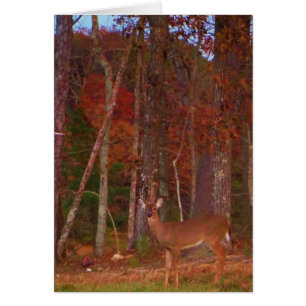 Doe a Deer im Arrowhad-See