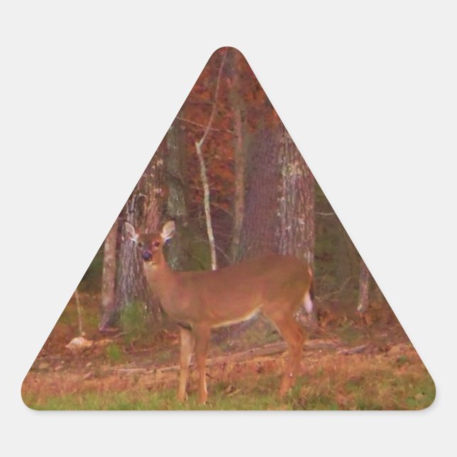 Doe a Deer im Arrowhad-See Dreieckiger Aufkleber (Vorderseite)