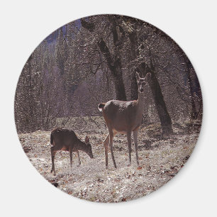 Doe and fawn... magnet
