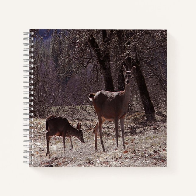 Doe and fawn... notizbuch (Vorderseite)