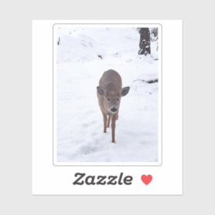 Doe ire im Schnee Montana Naturfotografie Aufkleber