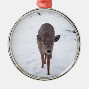 Doe ire im Schnee Montana Naturfotografie Ornament Aus Metall