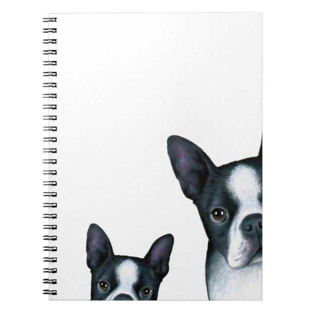 dog 128 Boston Terrier Notizblock (Vorderseite)
