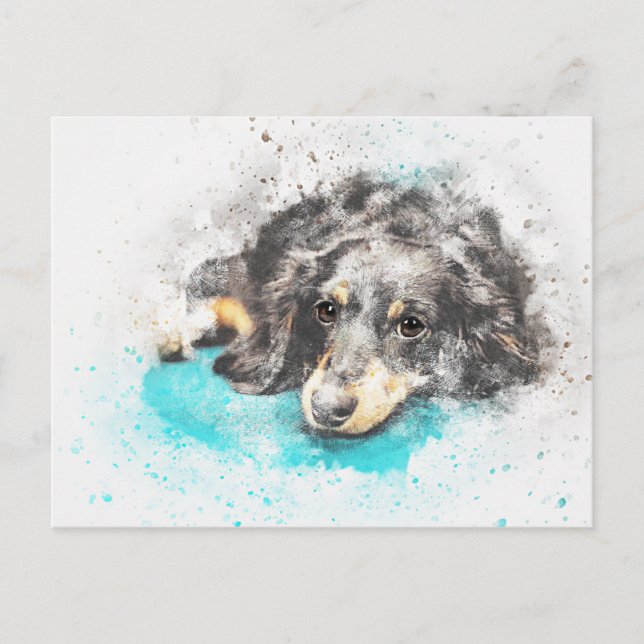 dog-2719601_1920 postkarte (Vorderseite)