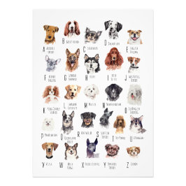 Dog Alphabet Poster