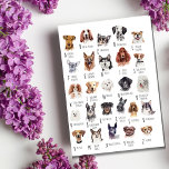 Dog Alphabet Watercolor Postkarte<br><div class="desc">Diese bezaubernde, einzigartige Hunderasse Alphabet Postkarte zeigt Aquarellmalereien einer Hunderasse, die für jeden Buchstaben des Alphabets verschieden ist. Ich habe einen Hund bemalt, um viele Rassen zu repräsentieren. Dieses Poster ist die perfekte Ergänzung zu den Zuhause von Hundefreunden. Es ist auch eine großartige Art, Kindern etwas über verschiedene Hunderassen beizubringen....</div>