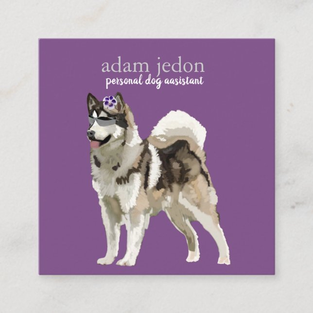 Dog Assistant Square Business Card Quadratische Visitenkarte (Vorderseite)