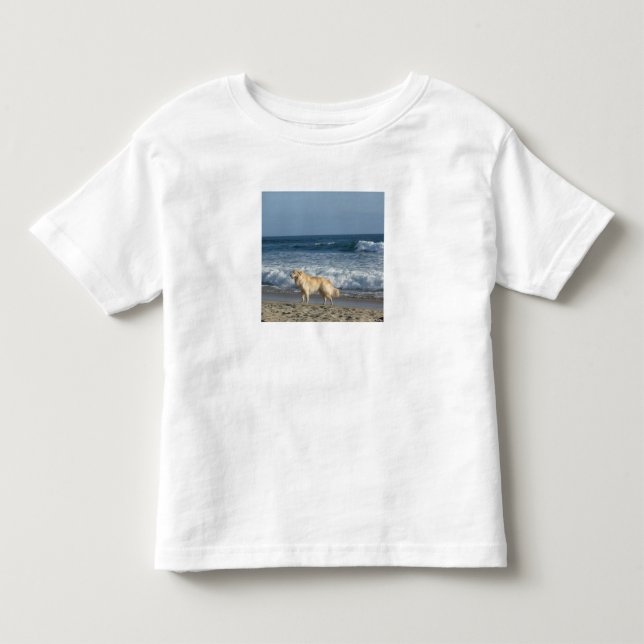 Dog At The Beach Kleinkind T-shirt (Vorderseite)