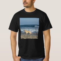 Dog At The Beach