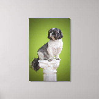 Dog auf einer Säule Leinwanddruck