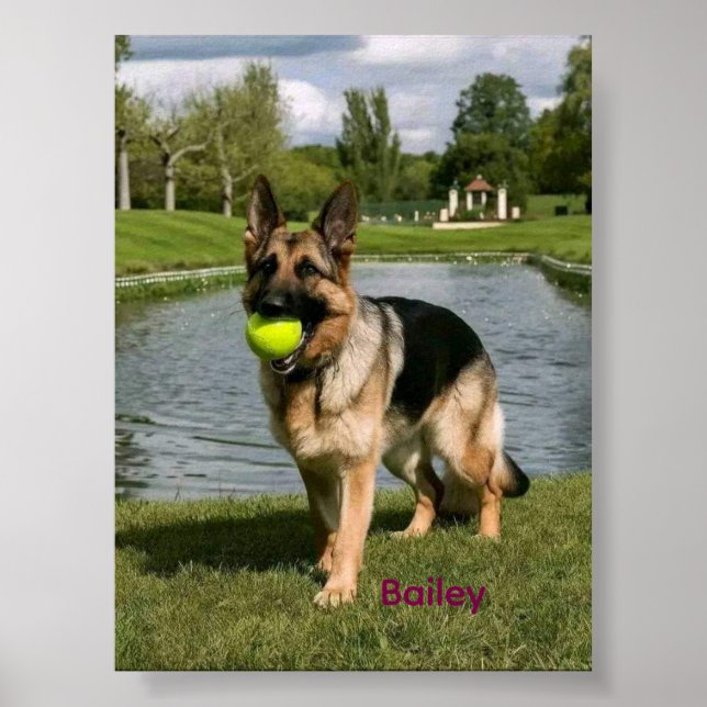 Dog Bathroom Wall Art, Boxer Taking a Bath Poster (Vorne)