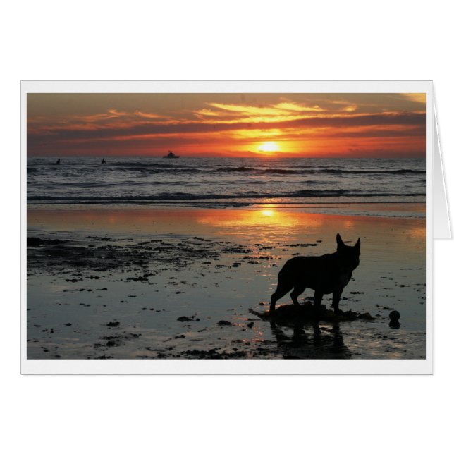 Dog Beach (Vorderseite (Horizontal))
