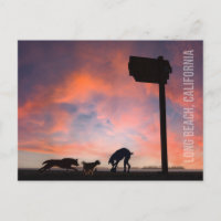 Dog Beach bei Sunset - Long Beach, Kalifornien