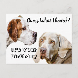 Dog Birthday Grüße Postkarte