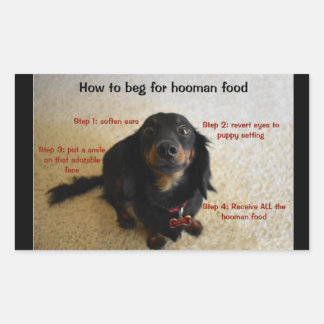 Dog Biscuit Cookie Leckerei JAR Label Rechteckiger Aufkleber