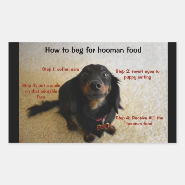 Dog Biscuit Cookie Leckerei JAR Label Rechteckiger Aufkleber (Vorderseite)