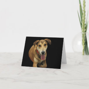 Dog Blank Note Card by Focus für eine Ursache Karte